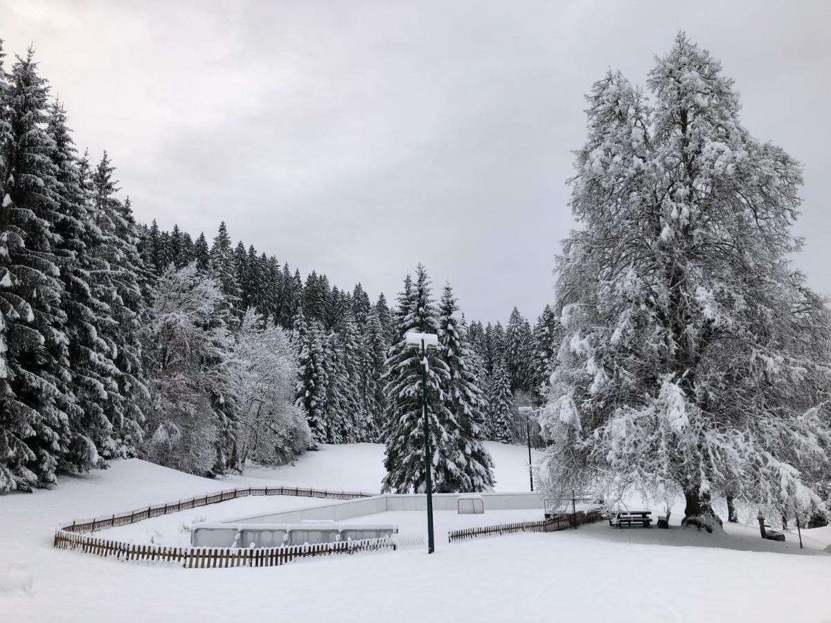 Liebenfels Urlaubsalm Kreuth 6 빌라 외부 사진